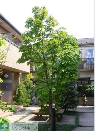 油面パークヴィレッジの物件内観写真